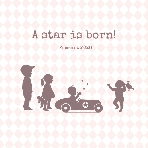 Geboortekaartje meisje vierde kind profiel raceauto met ster