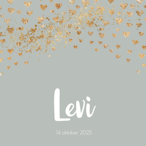 Geboortekaartje jongen confetti en goudlook hartjes