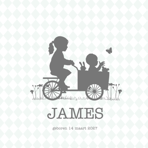 Baby geboortekaartje jongen profiel bakfietsje met broertje