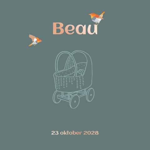 Geboortekaartje jongen lijntekening kinderwagen