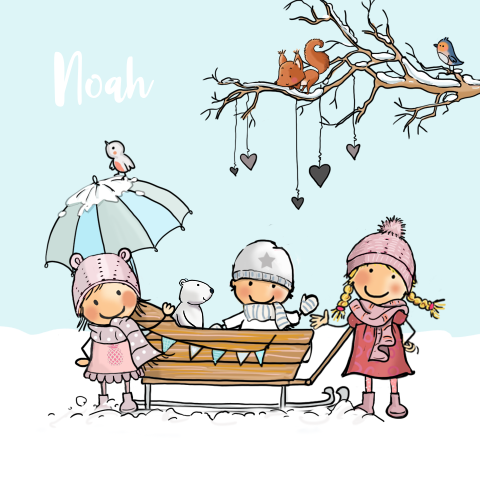 3e kindje geboortekaartje zusjes winters thema