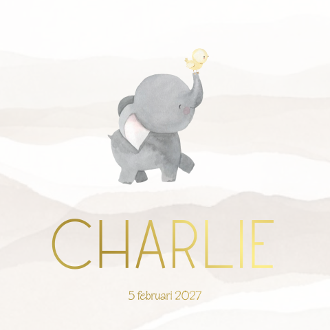 Neutraal geboortekaartje met een olifant met eendje