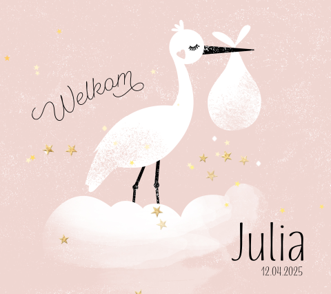 Geboortekaartje ooievaar meisje Belgisch vierkant