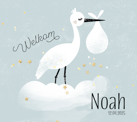 Ooievaar geboortekaartje jongen Belgisch vierkant