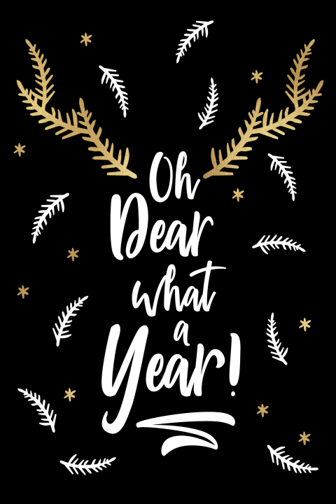 Special kerstkaart Oh dear what a year