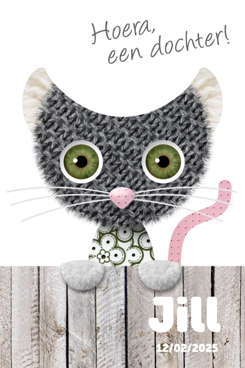 Geboortekaartjes kat meisje