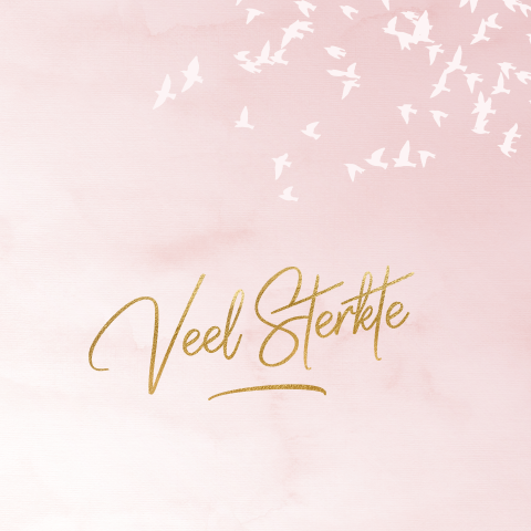 Condoleance kaart veel sterkte met witte vogels en roze aquarel