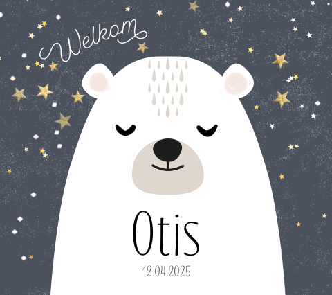 Geboortekaart beer jongen grijs Belgisch vierkant