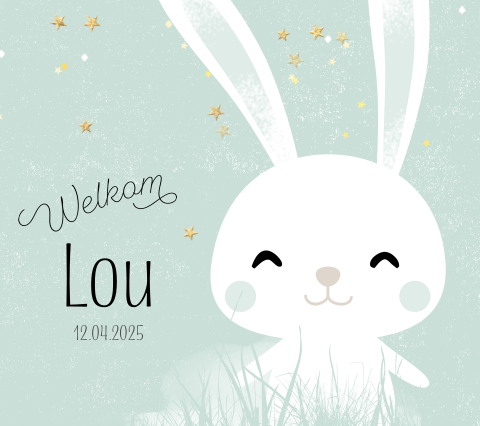 Geboortekaartje konijn jongen Belgisch vierkant
