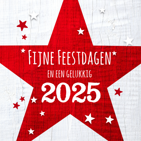 Moderne kerstkaart rood kerstster jaartal 2025