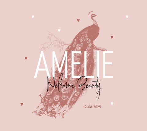 Geboortekaartje pauw meisje Belgisch vierkant