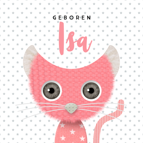 Geboortekaartje met kat voor een meisje roze sterren