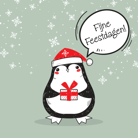 Leuke kerstkaart Pinguin kado