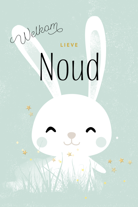 Geboorte felicitatie kaart konijn jongen mint groen