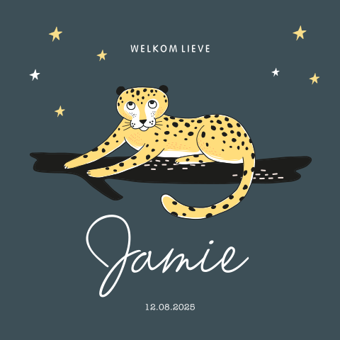 Geboortekaartje voor een jongen met jungle panter in de nacht