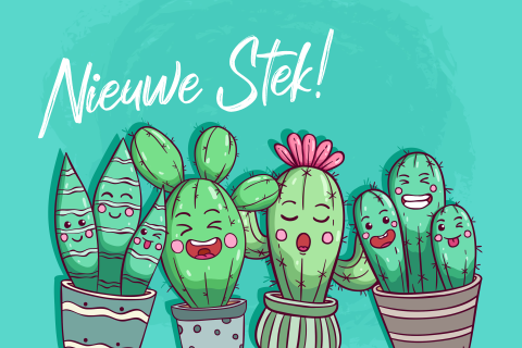 Kaart nieuwe woning felicitatie nieuwe stek cactussen
