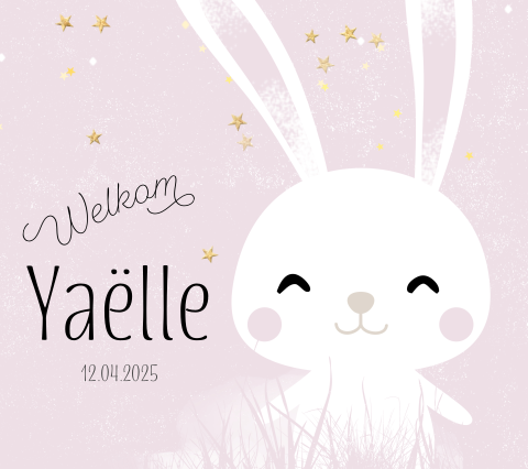 Geboortekaartje konijn meisje Belgisch vierkant