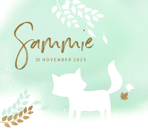 Geboortekaartje vos silhouet Belgisch vierkant