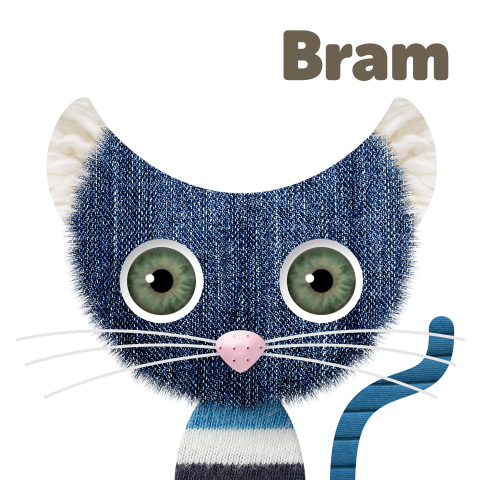 Hip geboortekaartje zoon blauwe kat