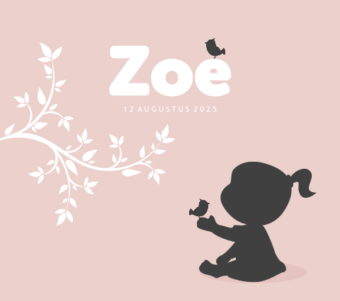 Lief geboortekaartje silhouet meisje Belgisch vierkant