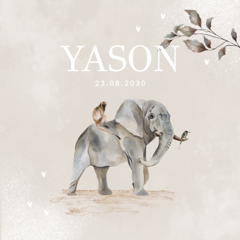Geboortekaartje olifant en aapje jongen of meisje