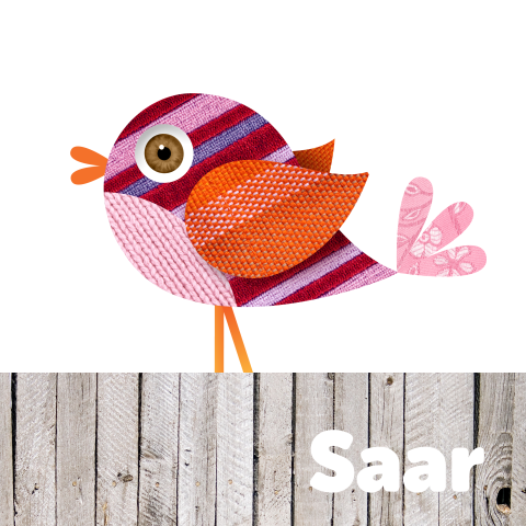 Geboortekaartje vogeltje meisje