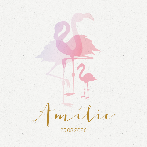Geboortekaartje flamingo silhouet meisje