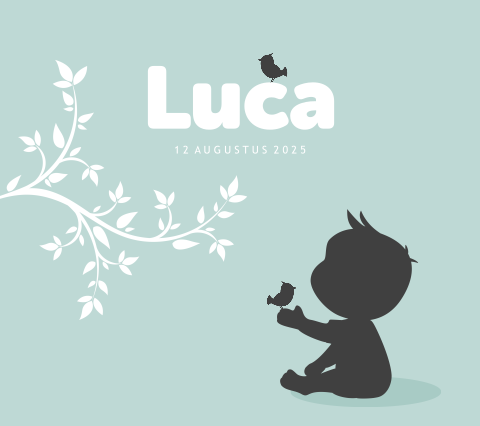 Lief geboortekaartje silhouet jongen Belgisch vierkant