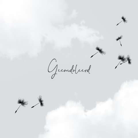 Condoleance kaart wolken lucht paardenbloemen