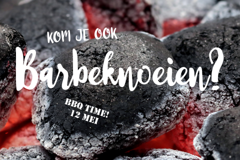 Uitnodiging verjaardag voor Barbeknoeien barbecue feest