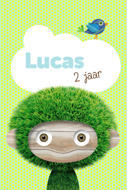 Uitnodiging kinderverjaardag jongen groen aapje vogel