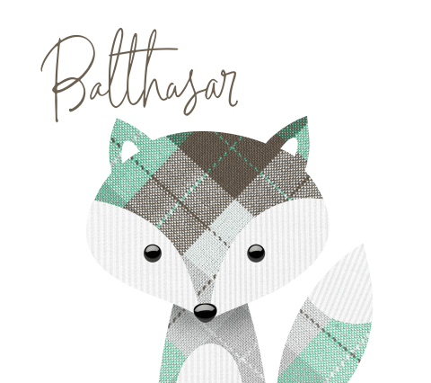 Geboortekaartje vos jongen Belgisch vierkant