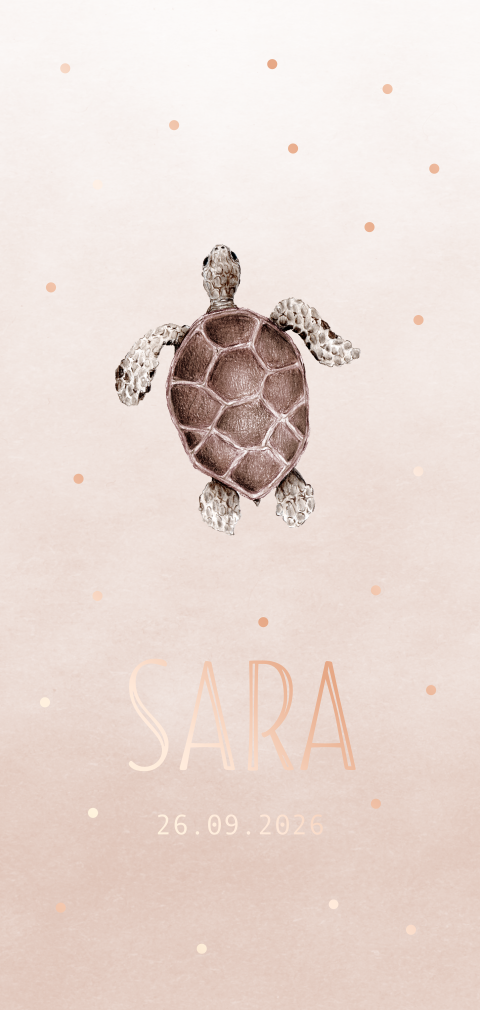 Geboortekaartje schildpad illustratie getekend folie meisje
