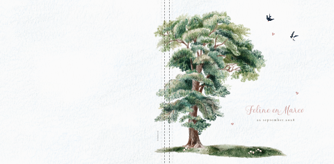 gastenboek 30x30 romantische boom met zwaluwen