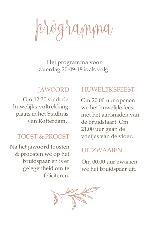 Klassiek programma kaartje takje Blush