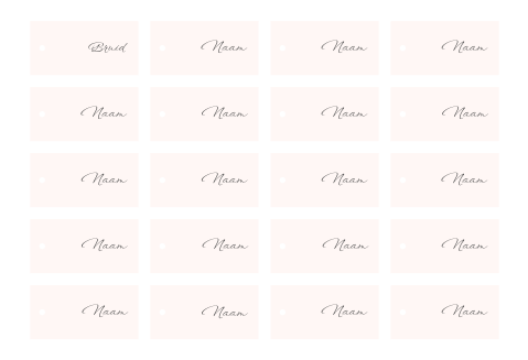 Naamkaartjes strak clean - 20stuks 9x4.5cm op 1 vel
