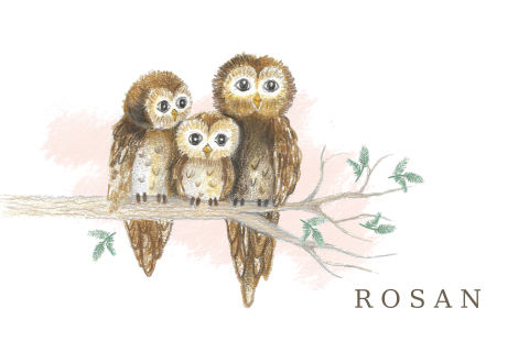 Geboortekaartje uiltjes op een takje voor een meisje