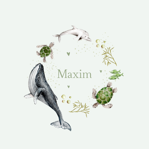 geboortekaartje illustratie schildpad walvis zeedieren jongen