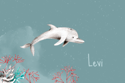 Geboortekaartje dolfijn onderwater illustratie jongen