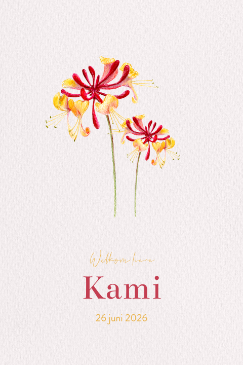 geboortekaartje geboortebloem juni kamperfoelie