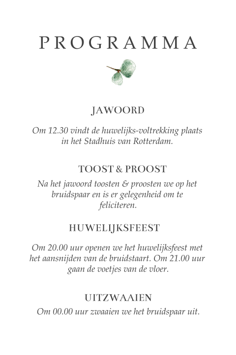 Chique programma met eucalyptus takjes