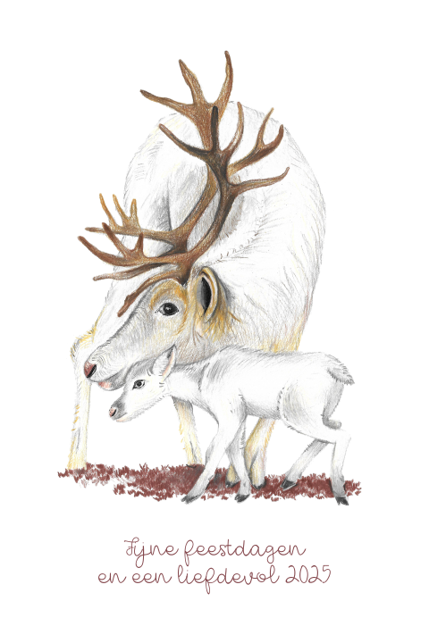 Kerstkaart Eland handgetekend