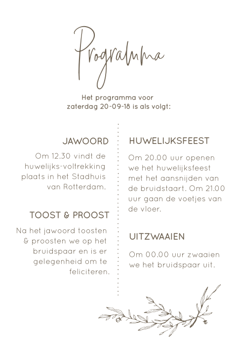 Klassieke Programma getekend takje