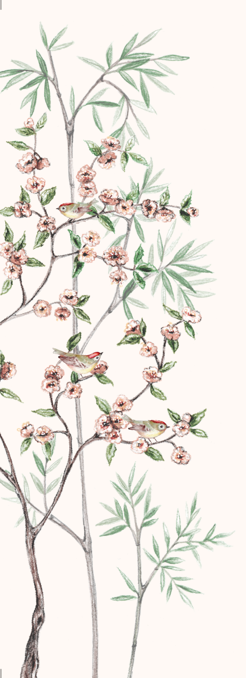 kalkpapier omslag takjes en vogels blooming