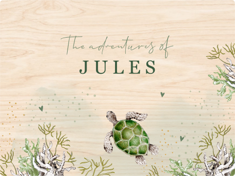 memorybox schildpad onderwaterwereld zeedieren