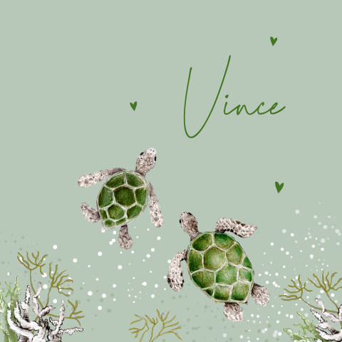 geboortekaartje illustratie schildpad groen tweede kindje jongen