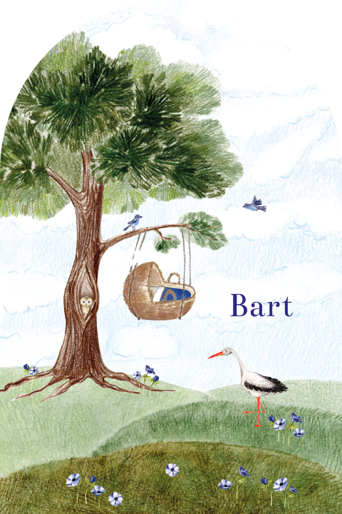 Geboortekaartje jongen boom landschap ooievaar boog vorm