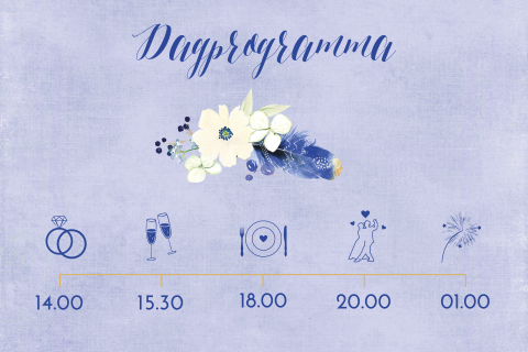 programma met tijdslijn en iccontjes