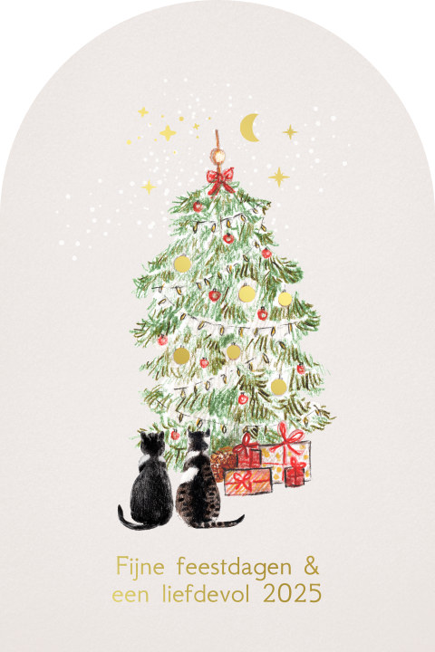 kerstkaart kerstboom poezen pakketjes folie originele vorm boog