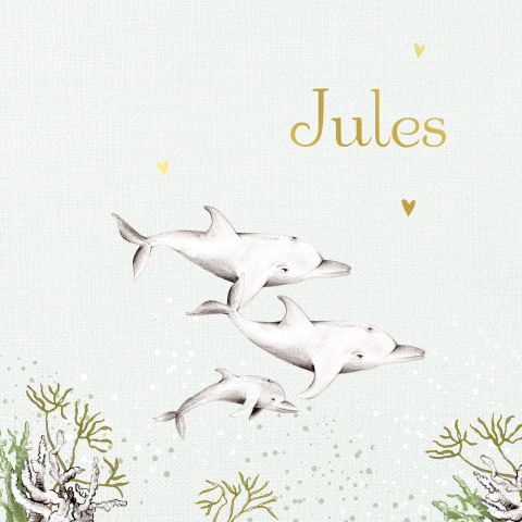 geboortekaartje illustratie dolfijn groen onderwater zeedier jongen